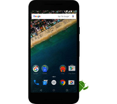 LG Nexus 5X - 32 GB